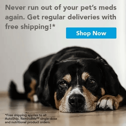 VetSource Square Shop Image - VetSource Square Shop Image