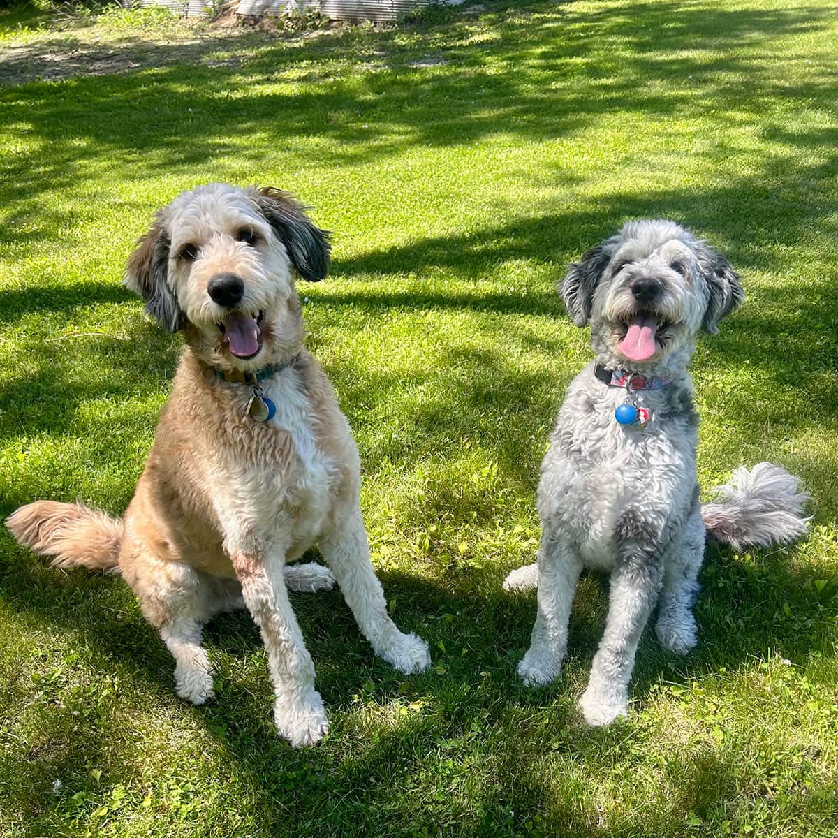 melanie 2 - melanie 2