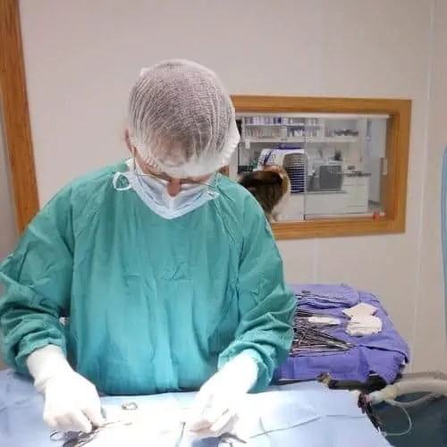 melissa 2 - melissa 2